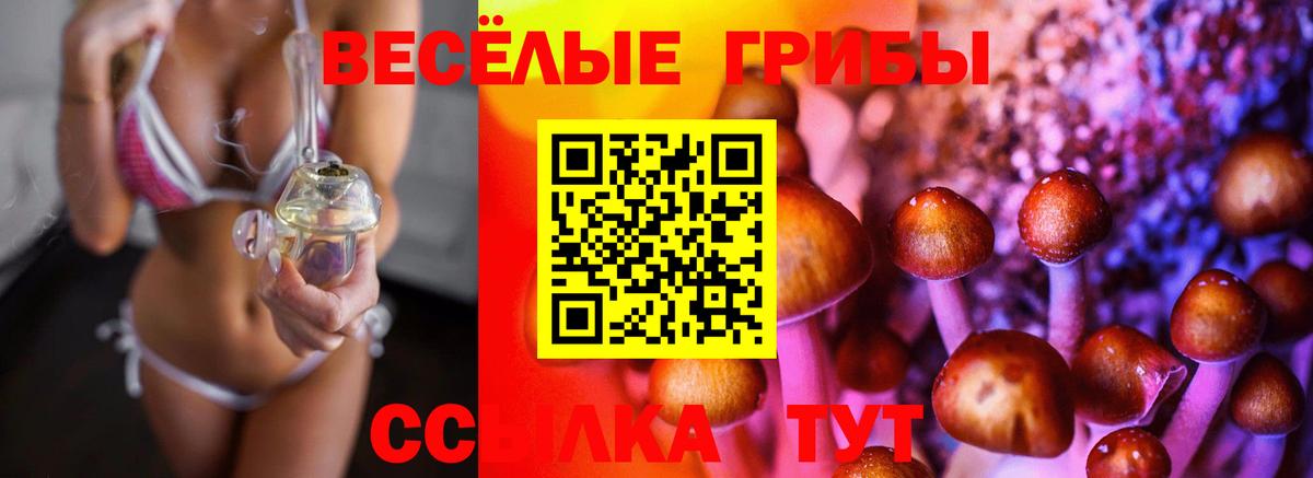 купить  сайты  Галлюциногенные грибы ЛСД  Прокопьевск  Вход с VPN  Псилоцибиновые грибы MAGIC MUSHROOMS 